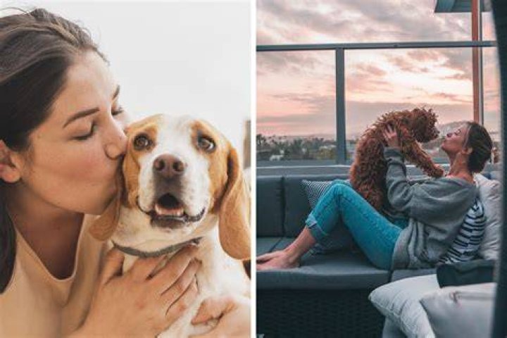 Do dogs prefer humans or other dogs?