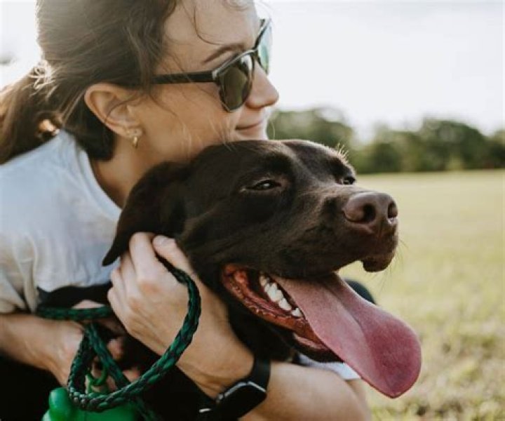 Do dogs see us as their parents?