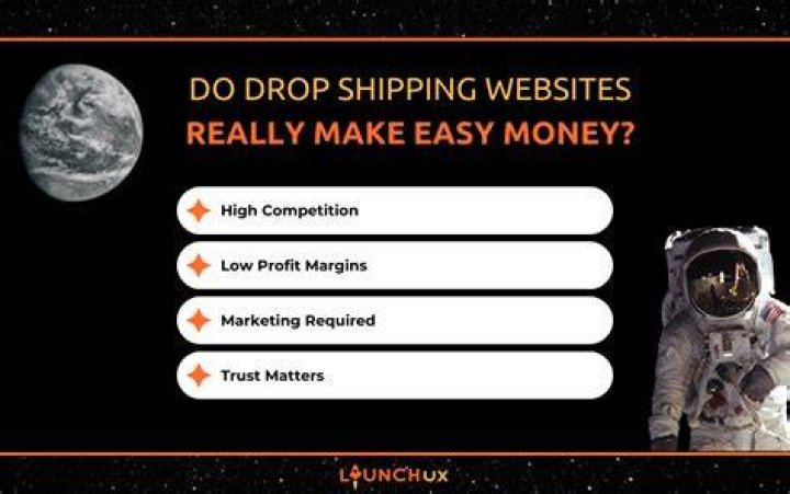 Do drop shipping companies make money?