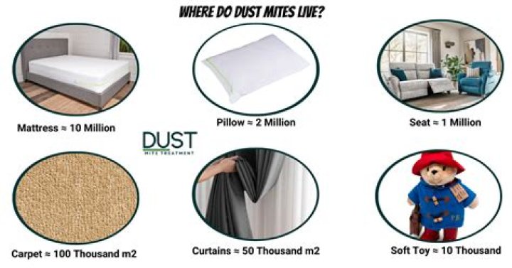 Do dust mites live on curtains?