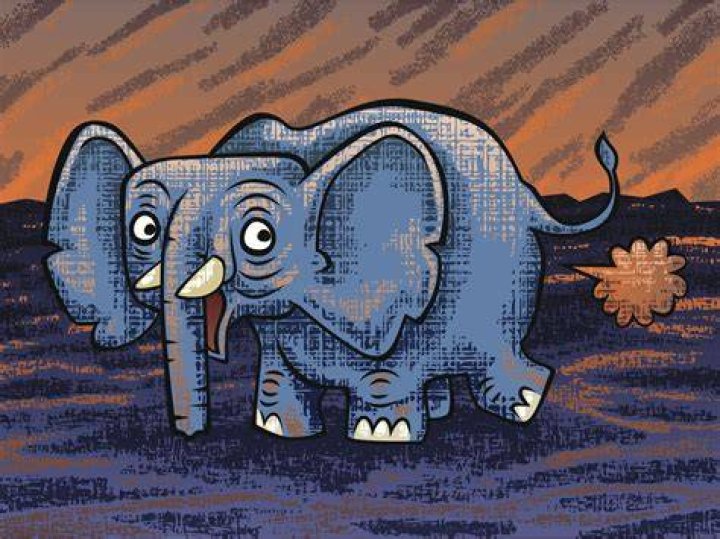 Do elephants fart?