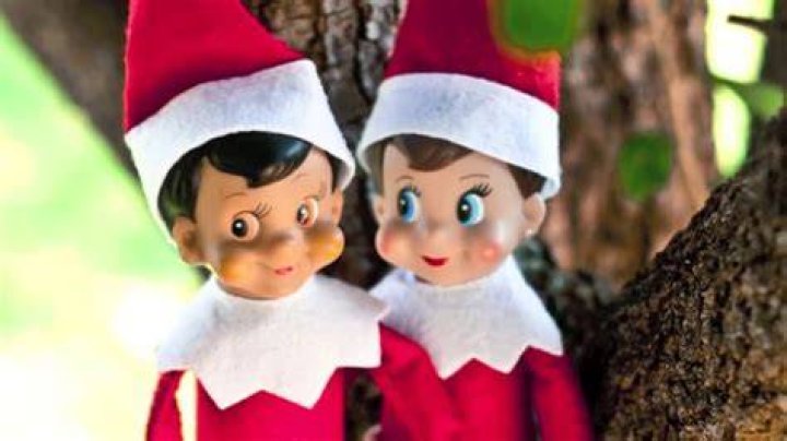 Do elves have babies?