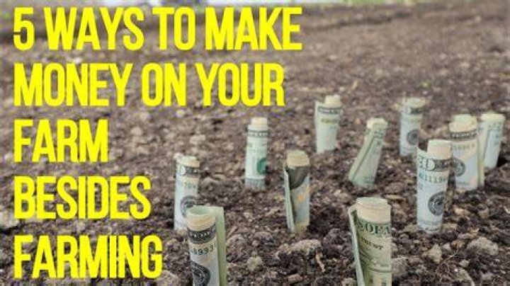 Do farmers make good money?