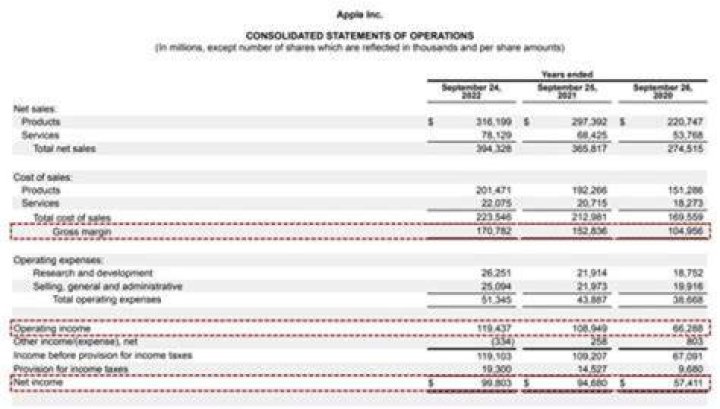 Do fees go on the income statement?