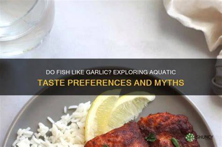 Do fish like garlic?