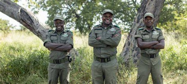 Do forest rangers get paid?