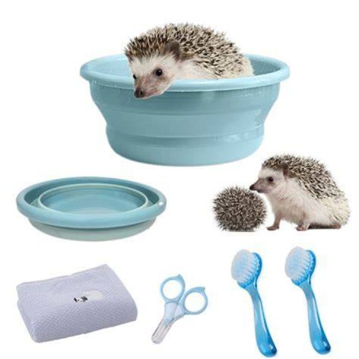 Do hedgehogs like baths?
