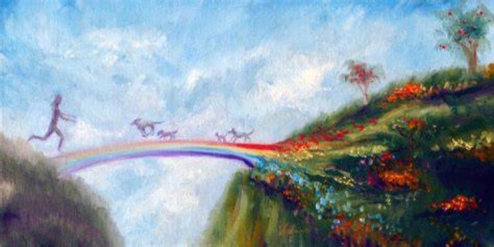 Do humans cross the Rainbow Bridge?