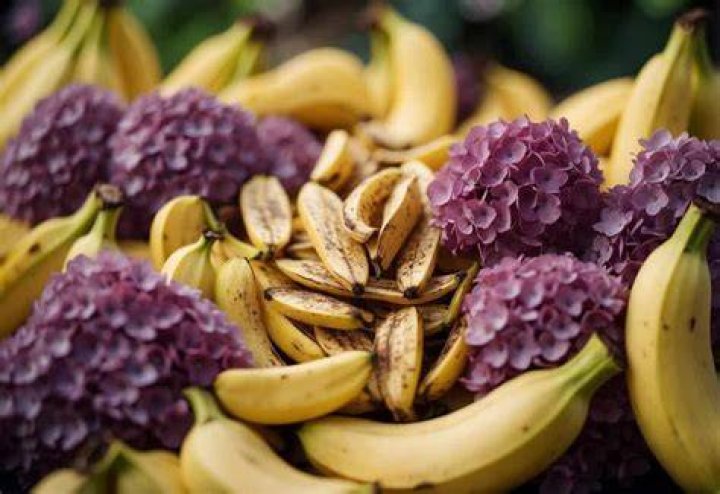 Do hydrangeas like banana peels?