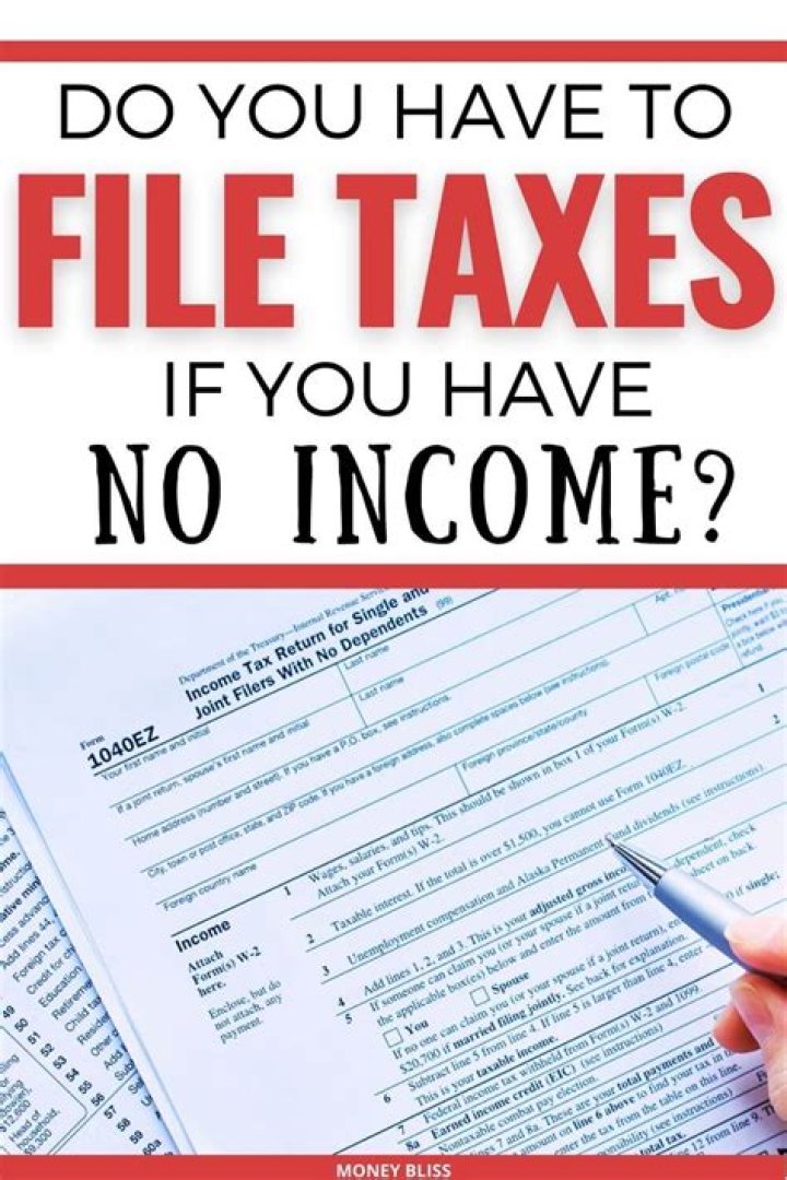 Do I file taxes if I had no income?