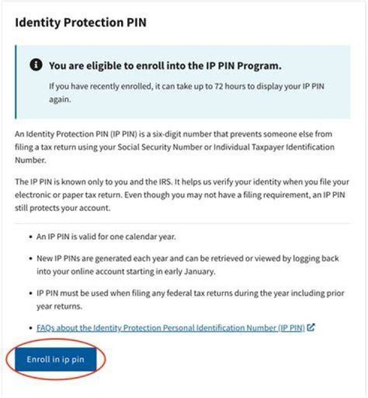 Do I need an IP pin every year?