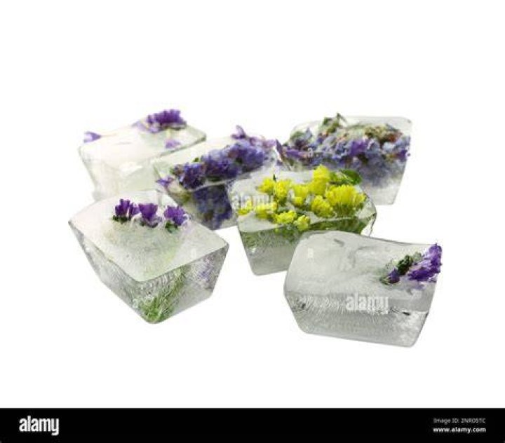 Do ice cubes help flowers?