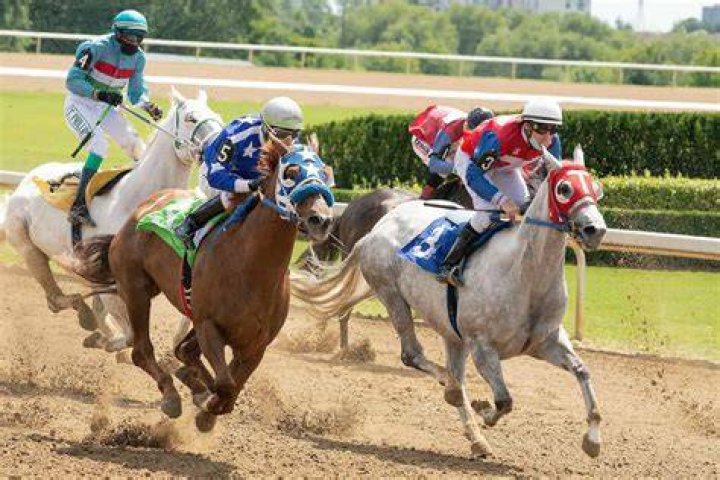 Do jockeys gamble?