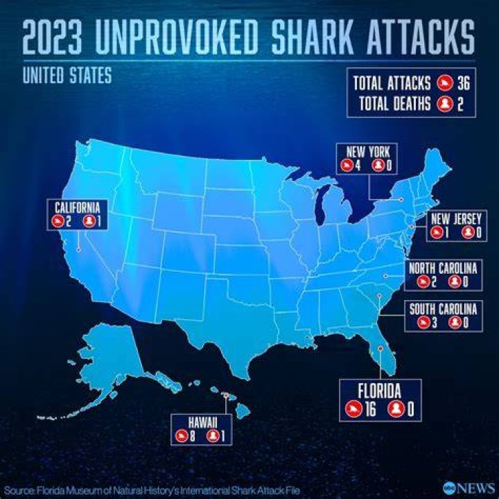 Do most shark attacks happen in 3 feet of water?