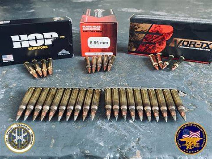 Do Navy Seals use subsonic ammo?
