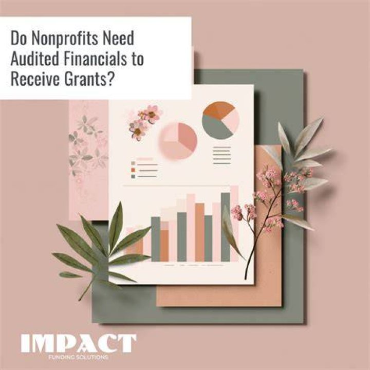 Do nonprofits need to be audited?