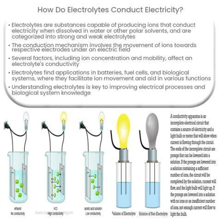 Do onions conduct electricity?