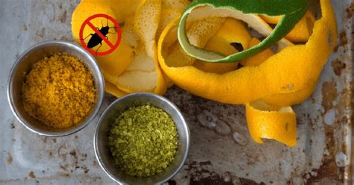 Do orange peels repel roaches?
