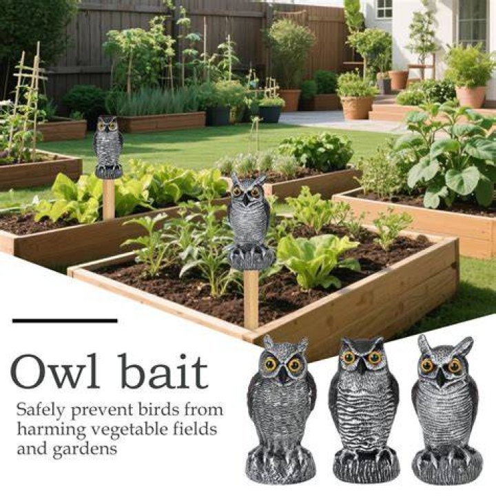 Do owl statues keep rodents away?