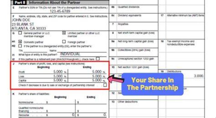 Do partnerships get k1?