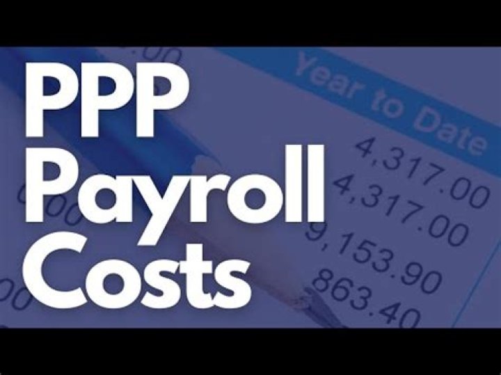 Do PPP payroll costs include taxes?
