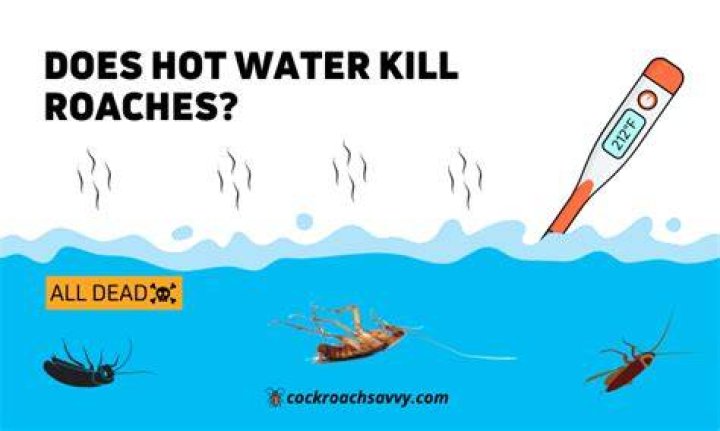Do roaches drown?