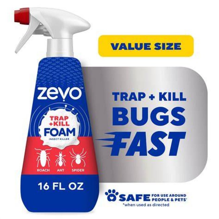 Do roaches eat through spray foam?
