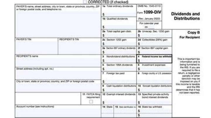 Do S Corps Issue 1099-DIV?