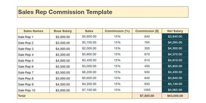 Do sales reps make commission?