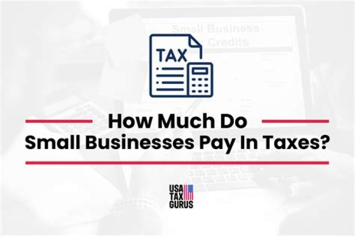 Do small business have to pay BAS?