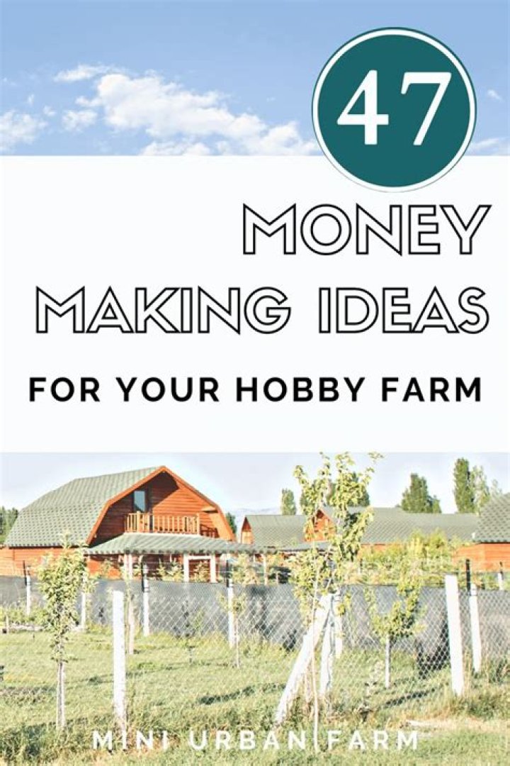 Do small farms make money?