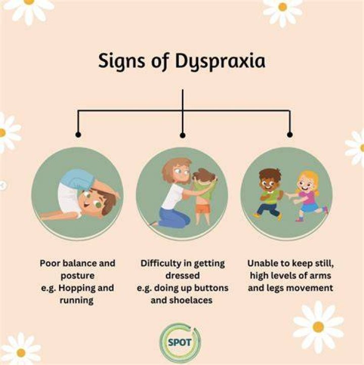 Do stimulants help dyspraxia?