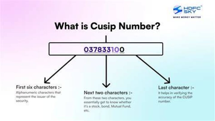 Do stocks have CUSIPs?