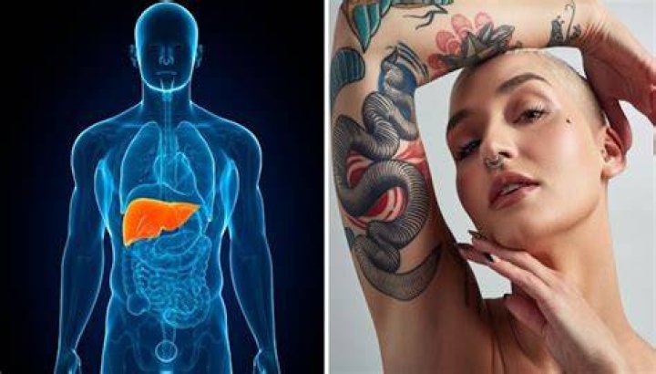 Do tattoos damage the liver?