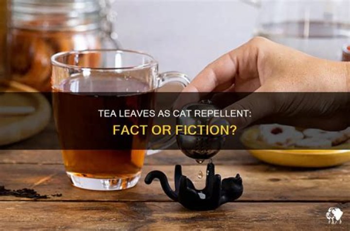 Do tea bags repel cats?