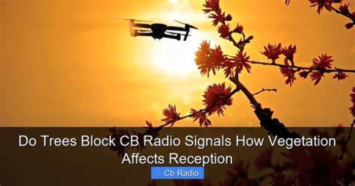 Do trees block 5G?