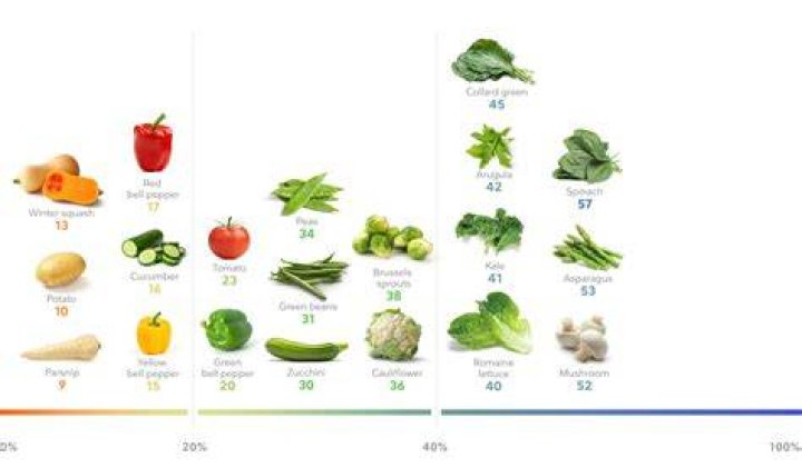 Do vegetables have lead?