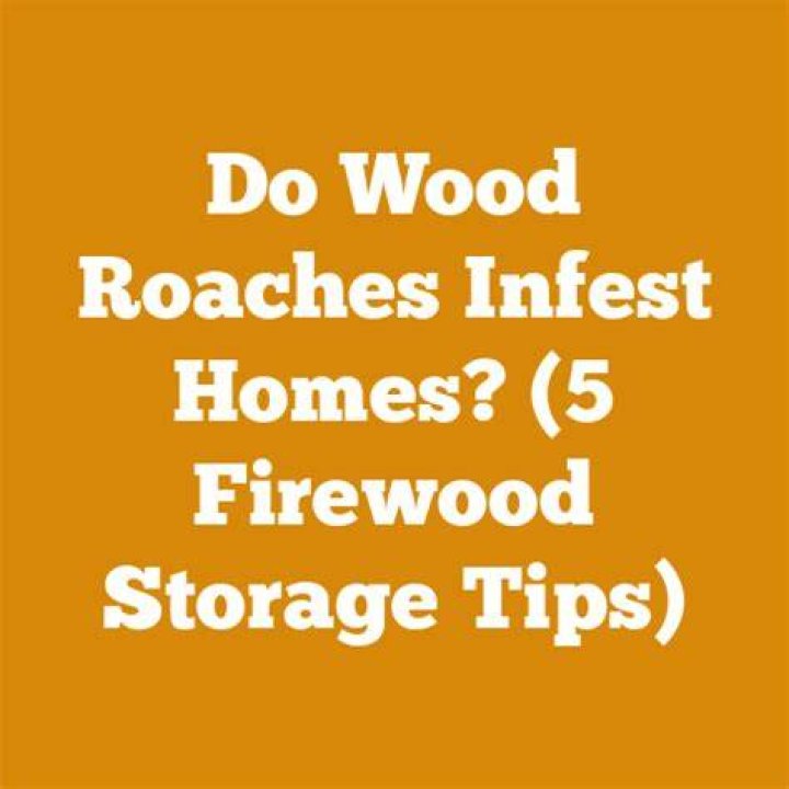 Do wood roaches infest homes?