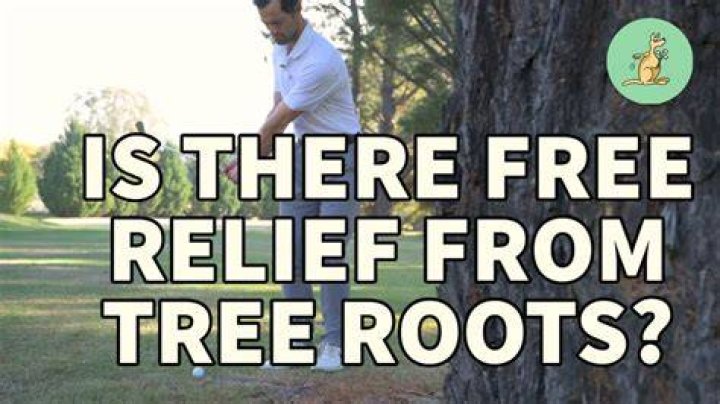 Do you get relief from a root in golf?