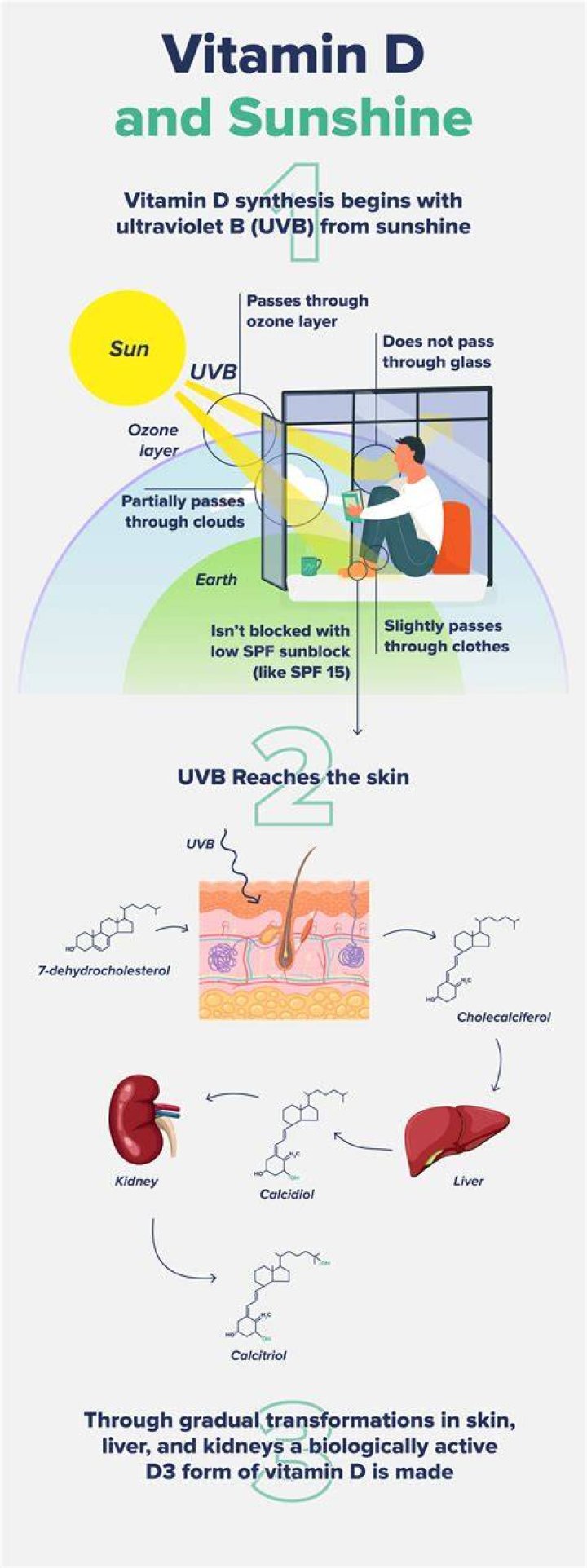 Do you get vitamin D from UV light?