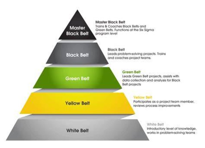 Do you have to do a project for Six Sigma Black Belt?