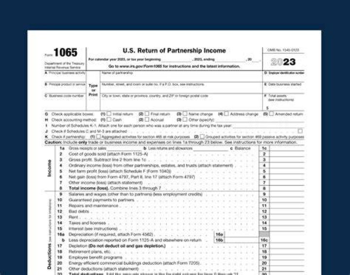 Do you have to file a partnership tax return for a LLC?