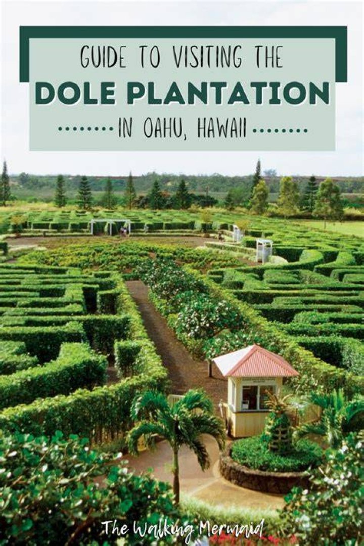 Do you have to pay to get into Dole Plantation?