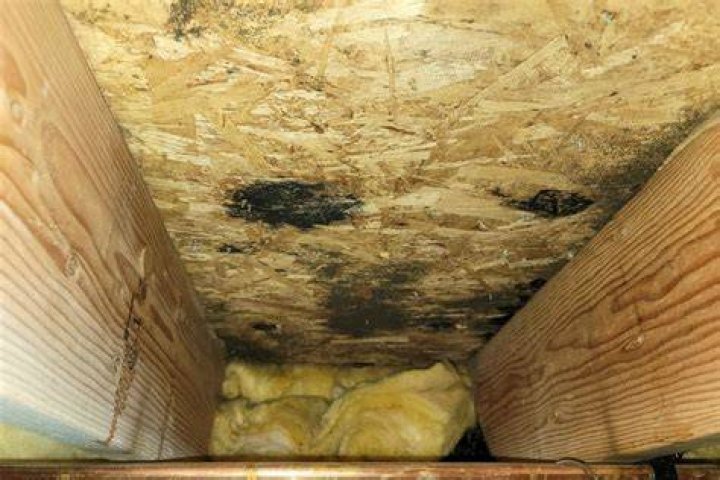 Do you have to tear down a house with mold?