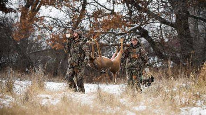 Do you leave deer guts in the woods?