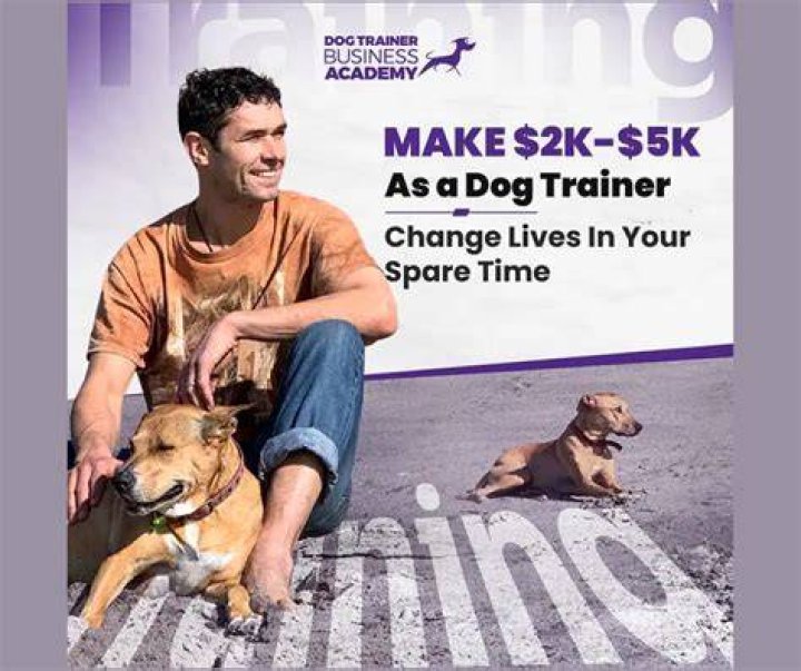 Do you need a degree to be a dog trainer?