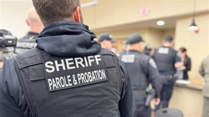 Do you need a degree to be a probation or parole officer in Florida?