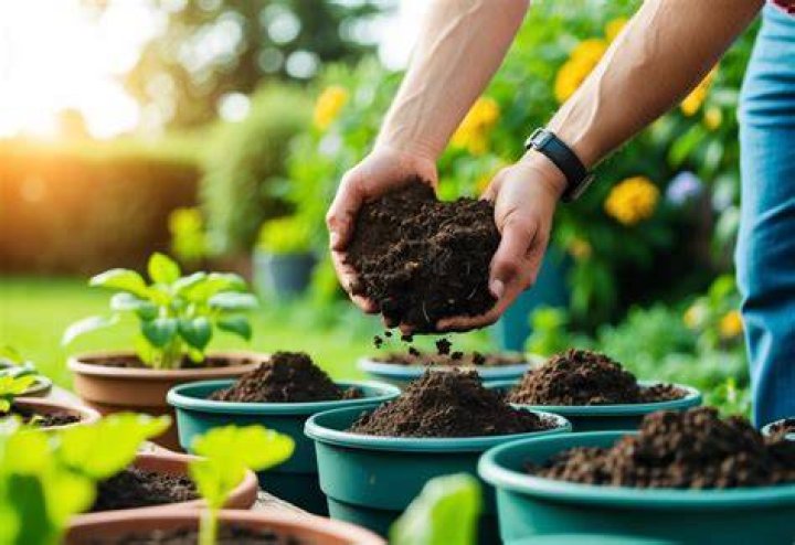 Do you need to change compost in pots every year?