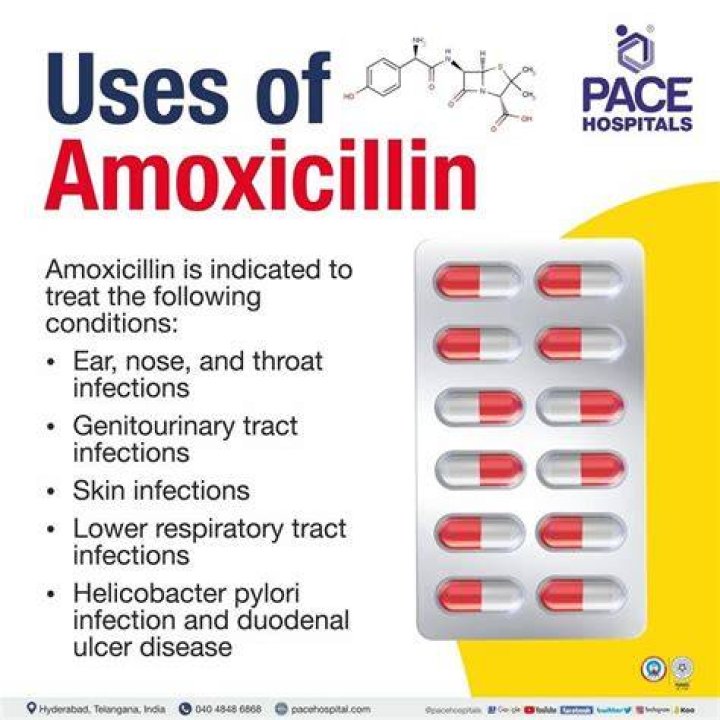 Do you need to eat when taking amoxicillin?