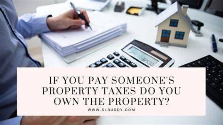 Do you own the property if you pay back taxes?